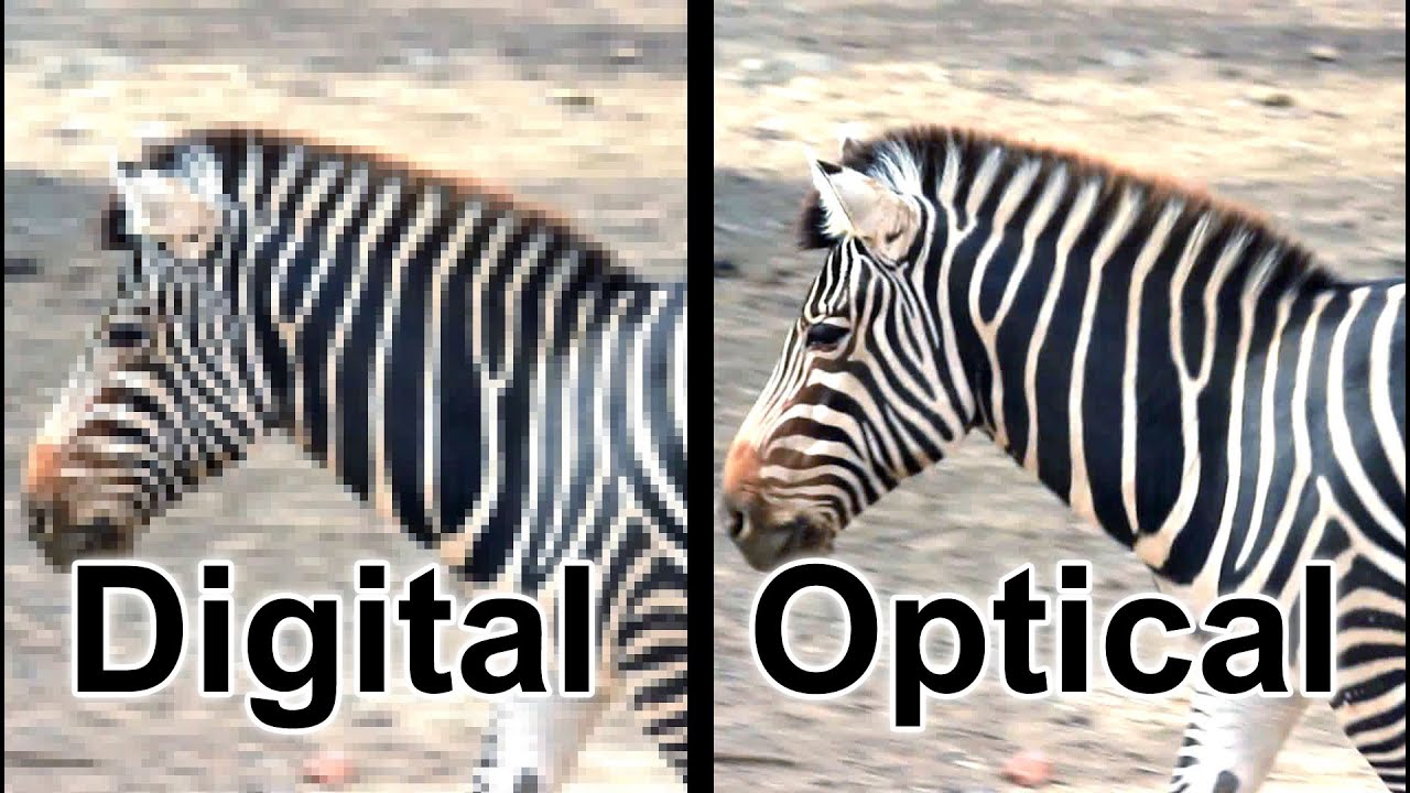 optical-digital